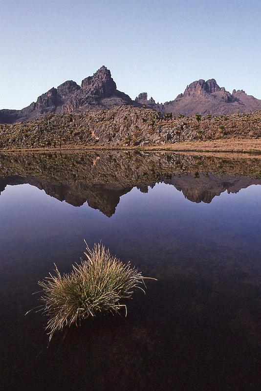 WT 1400 215-35 Kenya.jpg